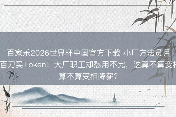 百家乐2026世界杯中国官方下载 小厂方法员月私费数百刀买Token！大厂职工却愁用不完，这算不算变相降薪？