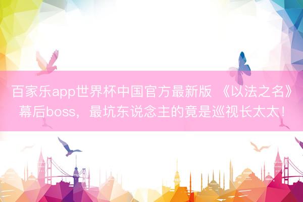 百家乐app世界杯中国官方最新版 《以法之名》幕后boss,最坑东说念主的竟是巡视长太太!